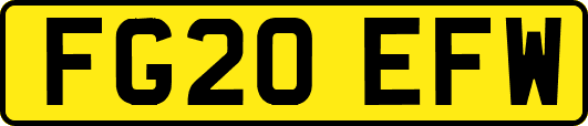 FG20EFW