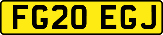 FG20EGJ