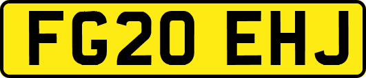 FG20EHJ