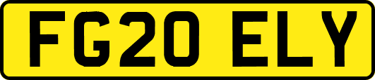 FG20ELY
