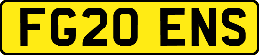 FG20ENS