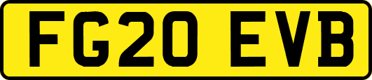 FG20EVB
