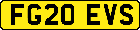 FG20EVS