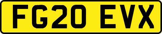 FG20EVX
