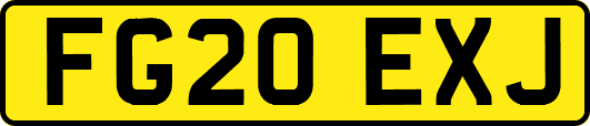 FG20EXJ