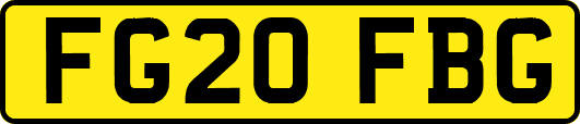 FG20FBG