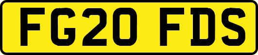 FG20FDS
