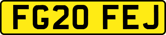 FG20FEJ