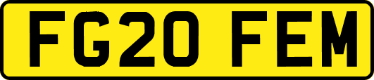 FG20FEM