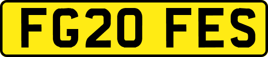 FG20FES