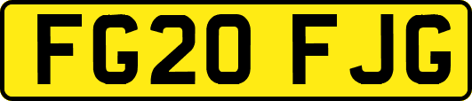 FG20FJG