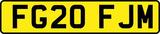 FG20FJM