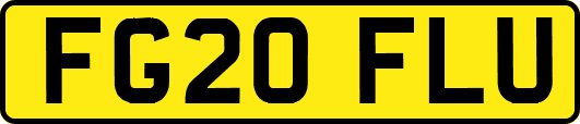 FG20FLU