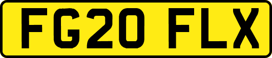 FG20FLX