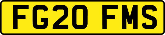 FG20FMS