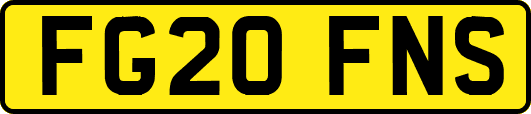 FG20FNS