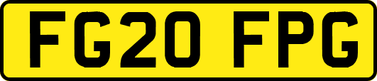 FG20FPG