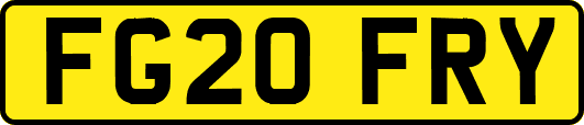 FG20FRY