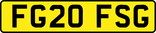 FG20FSG
