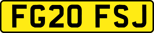 FG20FSJ