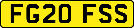 FG20FSS