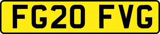 FG20FVG