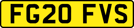 FG20FVS