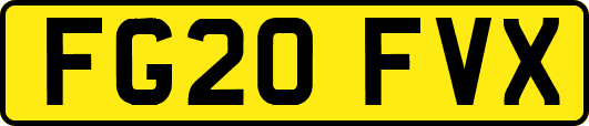 FG20FVX