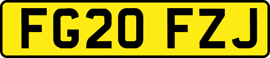 FG20FZJ
