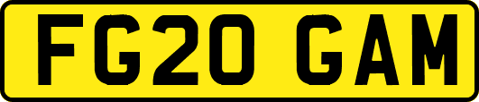FG20GAM