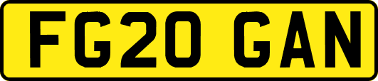 FG20GAN
