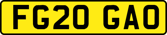 FG20GAO