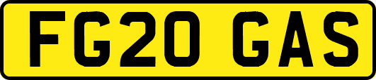 FG20GAS