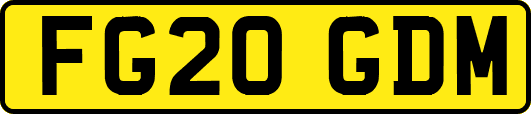 FG20GDM
