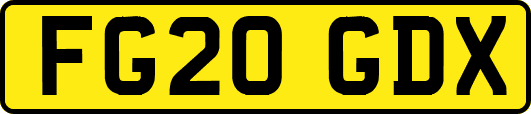 FG20GDX