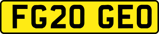 FG20GEO