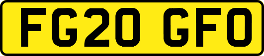 FG20GFO