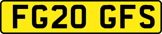 FG20GFS