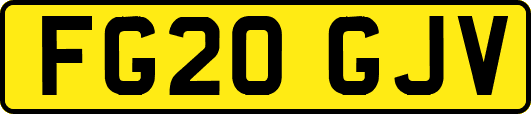 FG20GJV