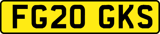 FG20GKS