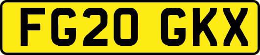 FG20GKX