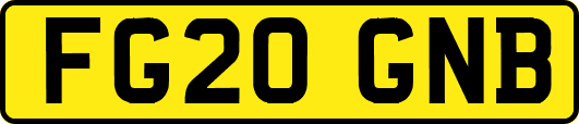 FG20GNB