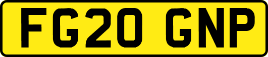FG20GNP