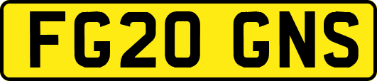 FG20GNS