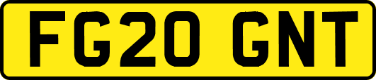 FG20GNT