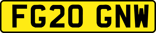 FG20GNW