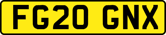 FG20GNX
