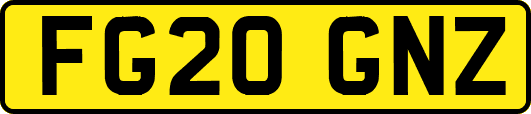 FG20GNZ