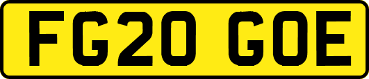 FG20GOE