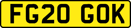 FG20GOK